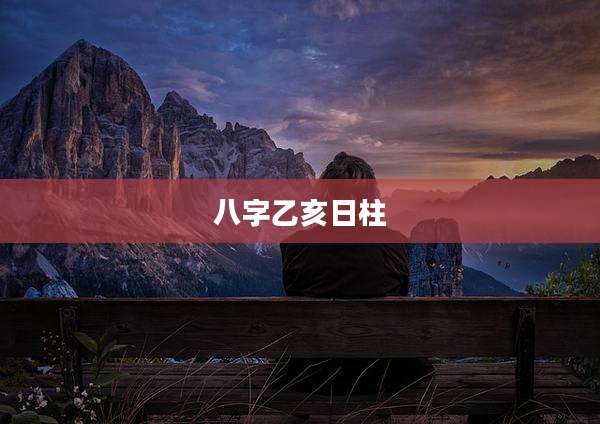 八字乙亥日柱