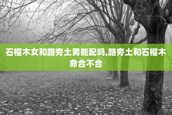 石榴木女和路旁土男能配吗,路旁土和石榴木命合不合