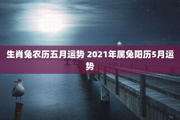 生肖兔农历五月运势 2021年属兔阳历5月运势