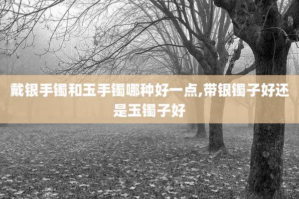 戴银手镯和玉手镯哪种好一点,带银镯子好还是玉镯子好