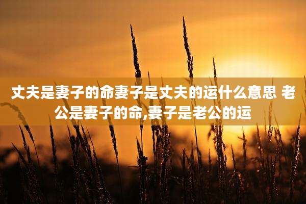 丈夫是妻子的命妻子是丈夫的运什么意思 老公是妻子的命,妻子是老公的运