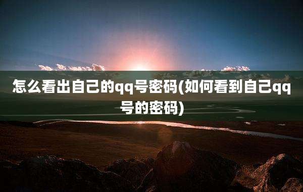 怎么看出自己的qq号密码(如何看到自己qq号的密码)