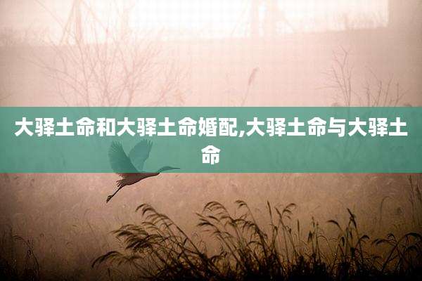 大驿土命和大驿土命婚配,大驿土命与大驿土命