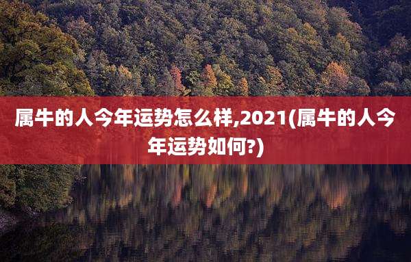 属牛的人今年运势怎么样,2021(属牛的人今年运势如何?)