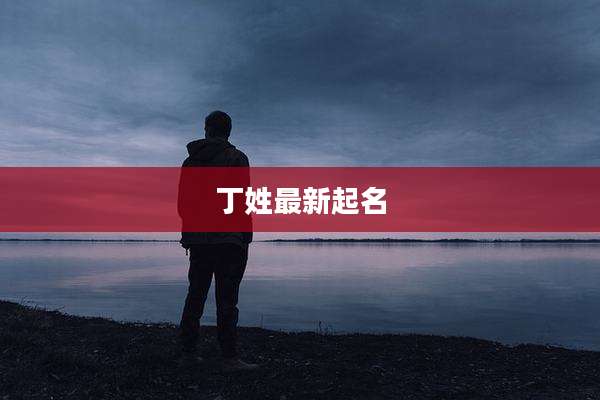 丁姓最新起名