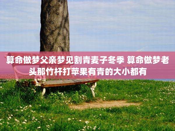 算命做梦父亲梦见割青麦子冬季 算命做梦老头那竹杆打苹果有青的大小都有