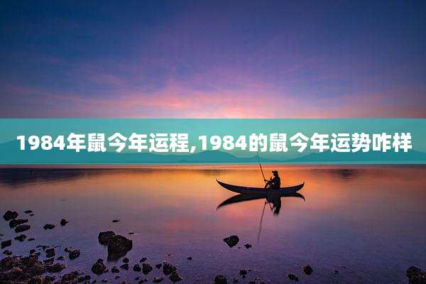 1984年鼠今年运程,1984的鼠今年运势咋样