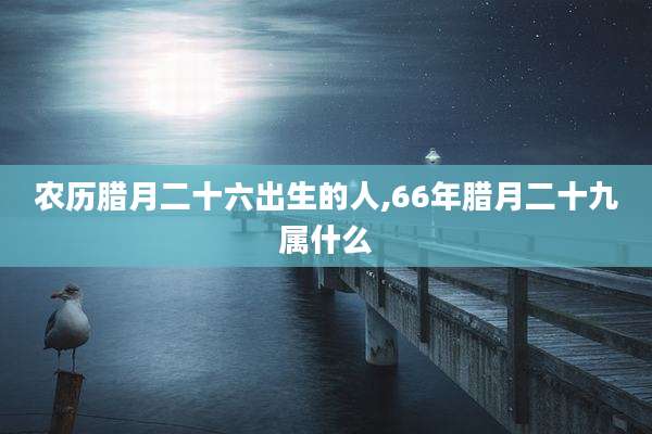 农历腊月二十六出生的人,66年腊月二十九属什么