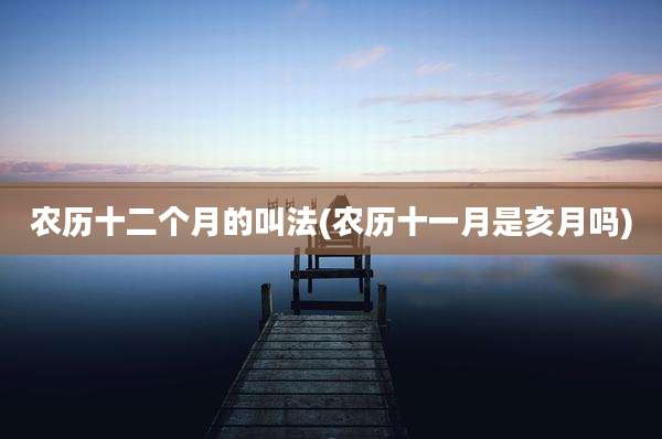 农历十二个月的叫法(农历十一月是亥月吗)