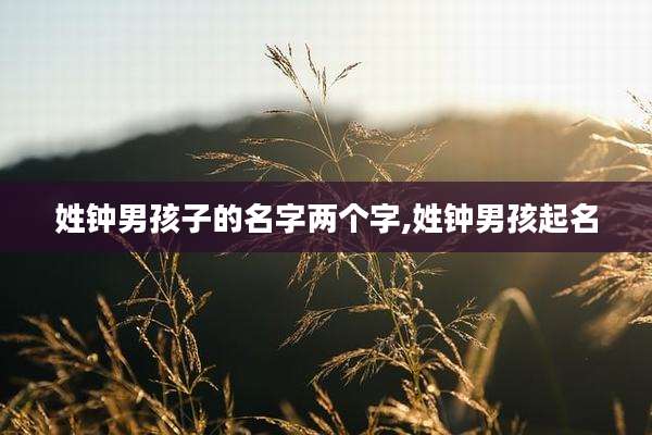 姓钟男孩子的名字两个字,姓钟男孩起名