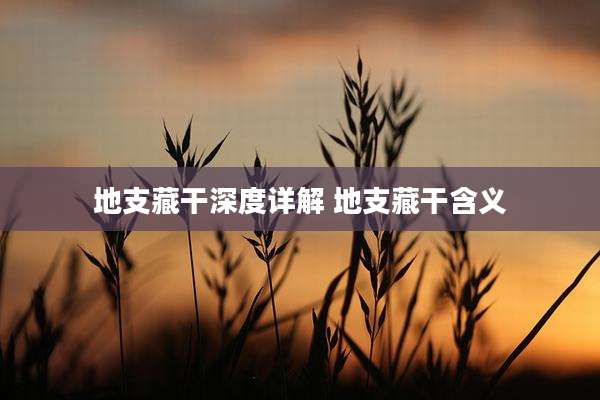 地支藏干深度详解 地支藏干含义