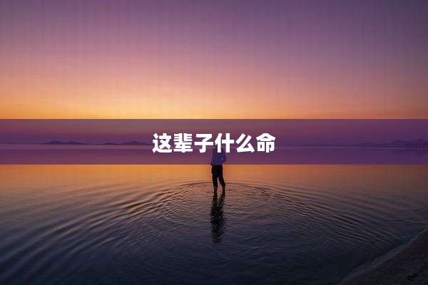 这辈子什么命