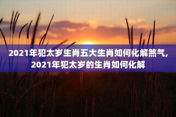 2021年犯太岁生肖五大生肖如何化解煞气,2021年犯太岁的生肖如何化解