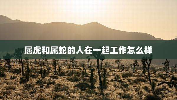 属虎和属蛇的人在一起工作怎么样