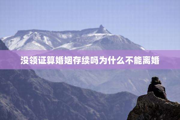 没领证算婚姻存续吗为什么不能离婚