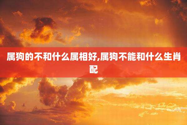 属狗的不和什么属相好,属狗不能和什么生肖配