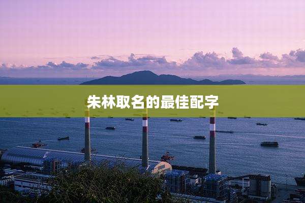 朱林取名的最佳配字