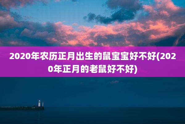 2020年农历正月出生的鼠宝宝好不好(2020年正月的老鼠好不好)