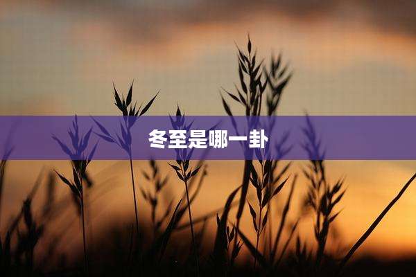 冬至是哪一卦