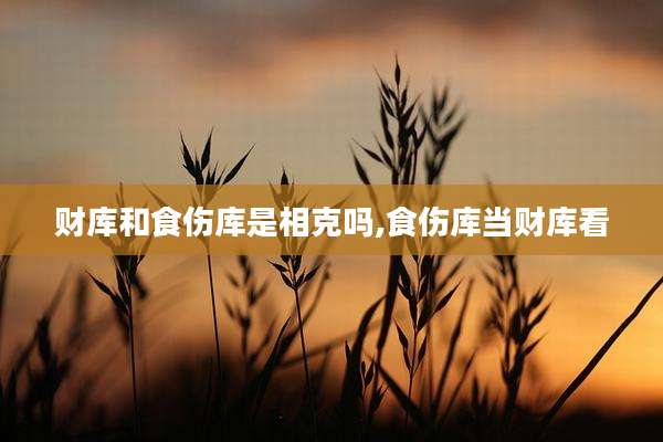 财库和食伤库是相克吗,食伤库当财库看