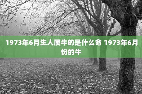 1973年6月生人属牛的是什么命 1973年6月份的牛