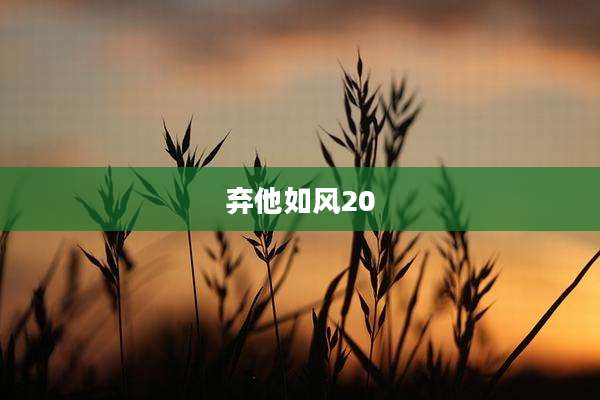 弃他如风20