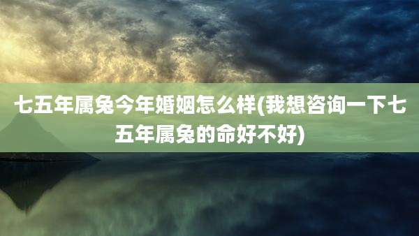 七五年属兔今年婚姻怎么样(我想咨询一下七五年属兔的命好不好)