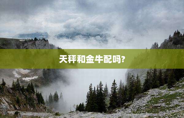 天秤和金牛配吗?