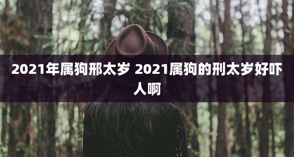 2021年属狗邢太岁 2021属狗的刑太岁好吓人啊