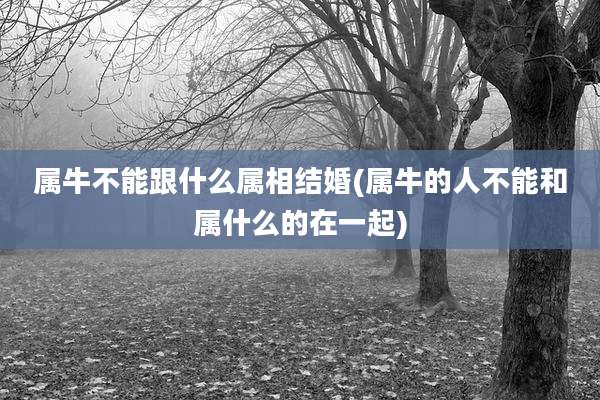 属牛不能跟什么属相结婚(属牛的人不能和属什么的在一起)