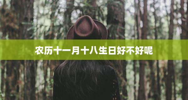 农历十一月十八生日好不好呢