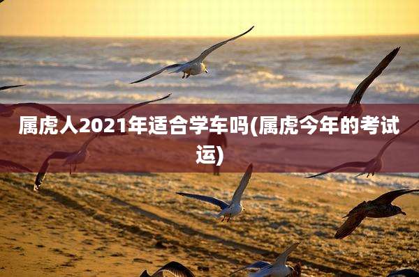属虎人2021年适合学车吗(属虎今年的考试运)