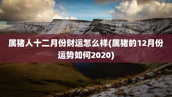 属猪人十二月份财运怎么样(属猪的12月份运势如何2020)