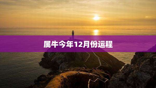 属牛今年12月份运程