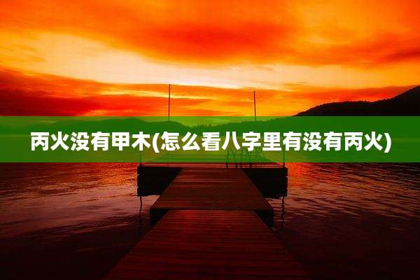 丙火没有甲木(怎么看八字里有没有丙火)