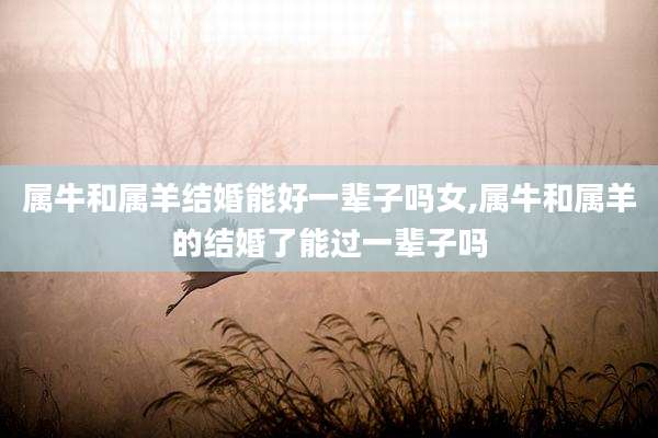 属牛和属羊结婚能好一辈子吗女,属牛和属羊的结婚了能过一辈子吗