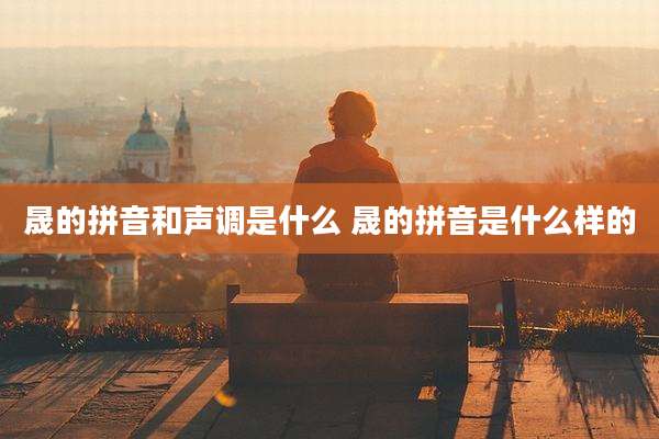 晟的拼音和声调是什么 晟的拼音是什么样的