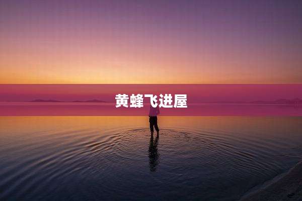 黄蜂飞进屋