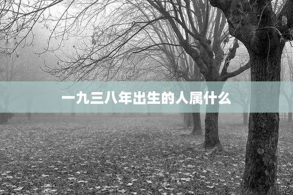 一九三八年出生的人属什么