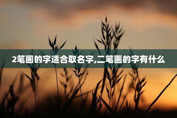 2笔画的字适合取名字,二笔画的字有什么