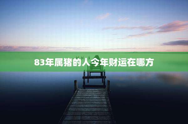 83年属猪的人今年财运在哪方