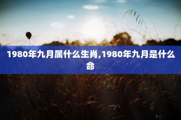 1980年九月属什么生肖,1980年九月是什么命