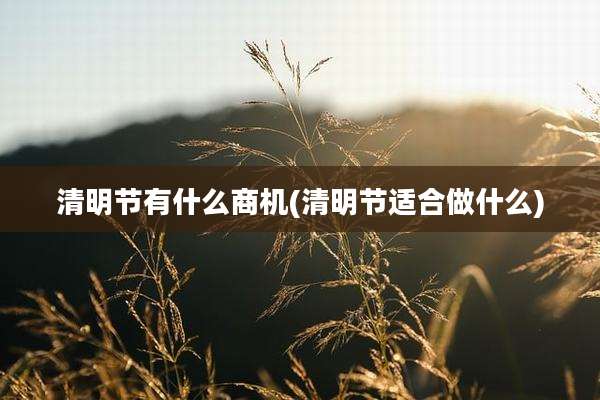 清明节有什么商机(清明节适合做什么)