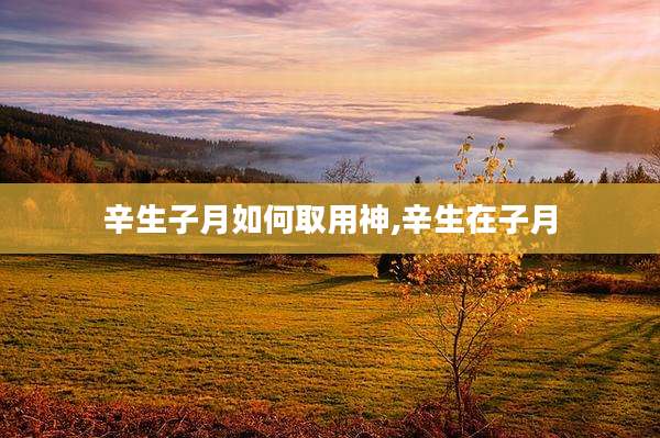 辛生子月如何取用神,辛生在子月