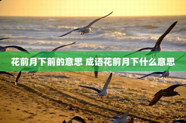 花前月下前的意思 成语花前月下什么意思