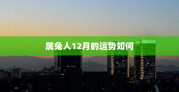属兔人12月的运势如何