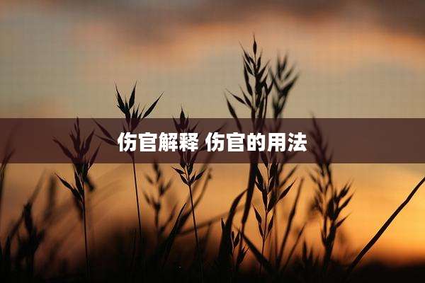 伤官解释 伤官的用法