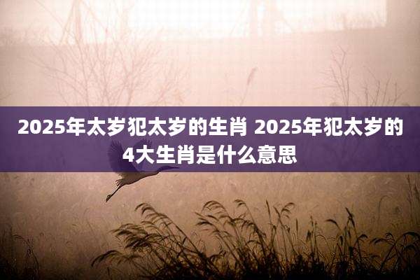 2025年太岁犯太岁的生肖 2025年犯太岁的4大生肖是什么意思
