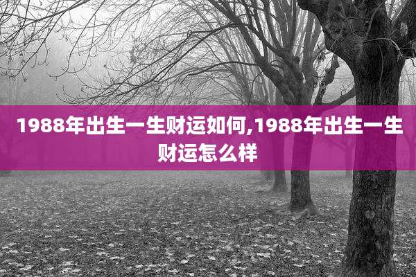 1988年出生一生财运如何,1988年出生一生财运怎么样