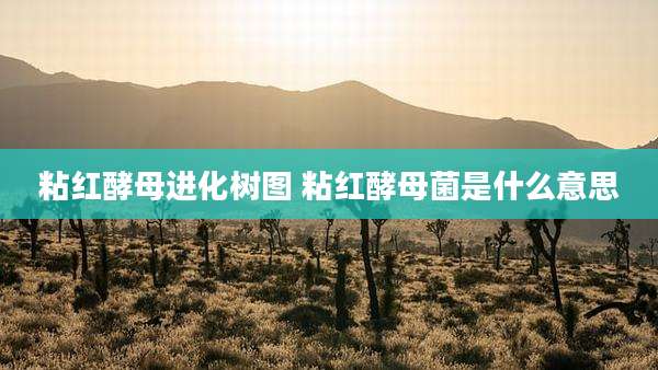 粘红酵母进化树图 粘红酵母菌是什么意思